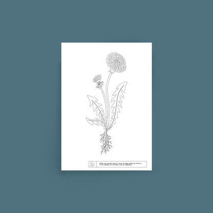 Décalcomanie pissenlit