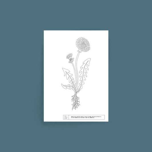 Décalcomanie pissenlit